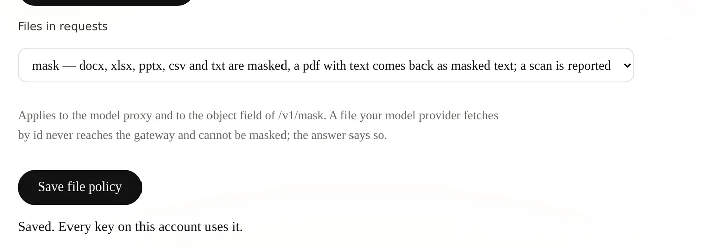 The account panel's file setting set to mask, with a note that it applies to the model proxy and to the object field of /v1/mask, and the confirmation that every key on the account uses it